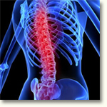 Spinal cord injury